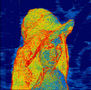 Compression view of cropped famous Lena image