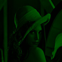 Green channel of the famous Lena picture